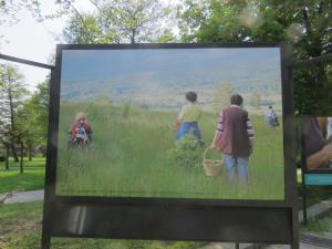 00003MarjetaMarincˇicˇSˇtudijski krozˇek Naravna_in_kulturna_dedisˇcˇina_Zgornje_Pivke